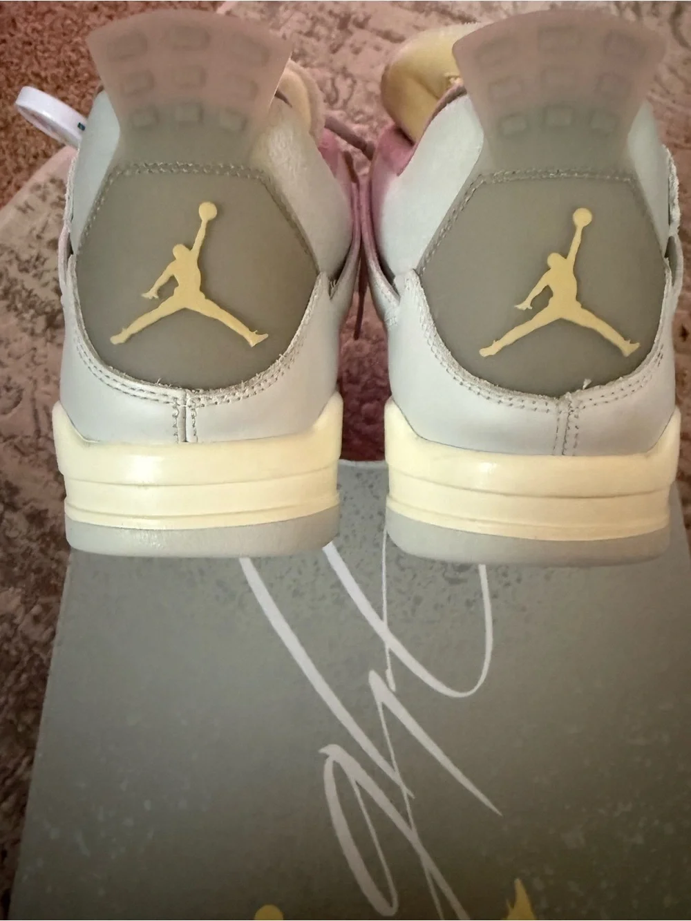 Jordan iconic silhouette